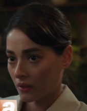 Смотреть онлайн Незнакомец в зеркале 5 серия